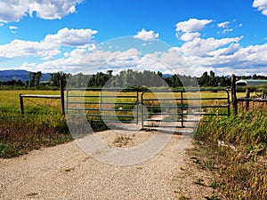 Green gate by a prairie in Colorado
