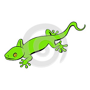 Green gecko lizard icon cartoon