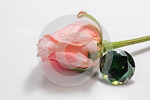 The green gemstones shine light pendant photo