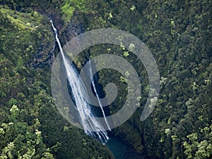 Green Getaway Exotic Paradise, Kauai, Hawaii