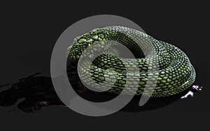 Green Giant Fantasy Snake