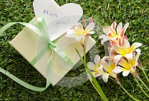 Green gift box with a bow, `Miss you`