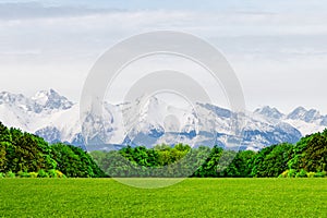 A green glade at the foot of snow-capped mountain peaks. A miracle of nature. Landscape contras