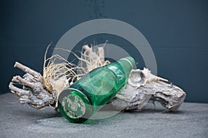 Green Glass Bottle On A Piece Of Wood With Shells Summer Beach V