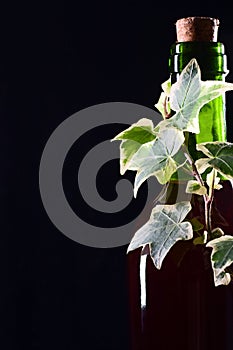 Green glass wine bottle with ivy