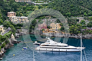 A green glimpse of Portofino