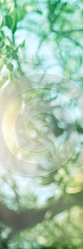 Green glitter bokeh circle glow blurred and blur abstract. Glittering shimmer bright luxury . White and silver glisten twinkle for