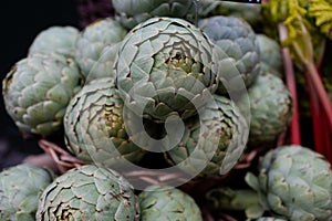 Green Globe Artichoke