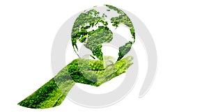 Green globe inside concept  protecting the environment and nature