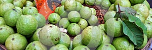 Green goava leaf testy food fruit