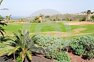 Green golf course