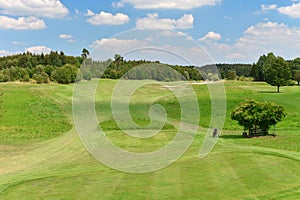 Green golf course and blue cloudy sky. Field with trees landscap