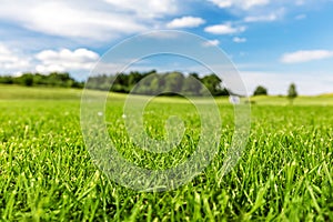 Green golf course with blue sky.