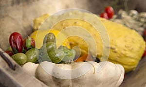 Green gooseberries with pumpkin