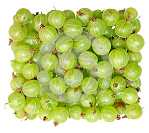 Green Gooseberry