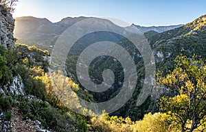 Green Gorge Path in Grazalema Mountain range, Spain