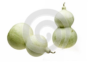 Green gourd