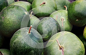 Green Gourds