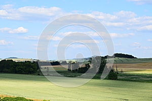 Green Grain Fields in Thürer Wiesen