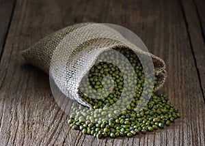 Green gram or mung bean