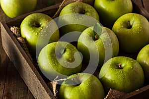 Green Granny Smith Apple