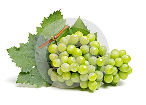 Green grape