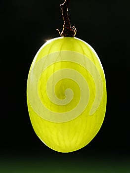 Green grape