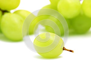 Green Grape photo