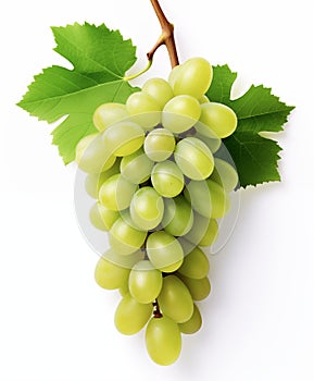 Green grape bunch with leaves isolated on white background