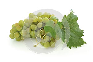 Green grape cluster