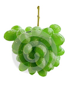 Green grape cluster