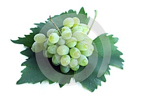 Green grape cluster on leaf