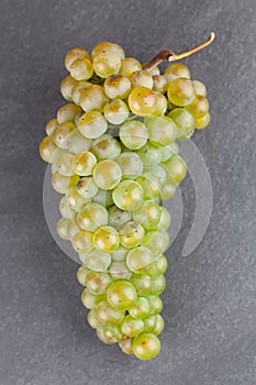 Green grape cluster on slate board