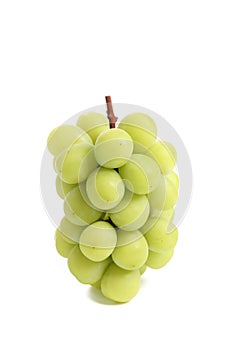 Green grape isolated in white background