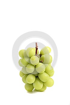 Green grape isolated in white background