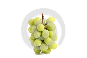 Green grape isolated in white background