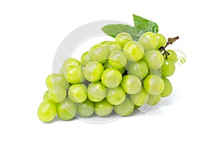 Green grape with leaf isolated on white background.