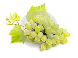 Green grape with leaves