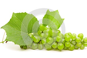 Green grape with leaves and water drops closeup