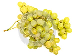 Green grape vine