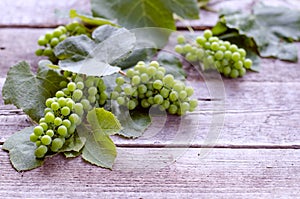 Green grape on a wooden table