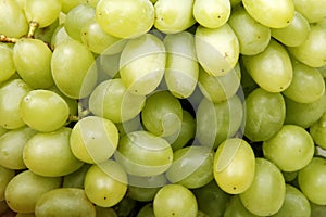 Green grapes photo