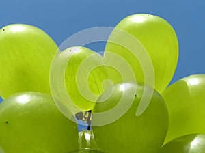 Green grapes