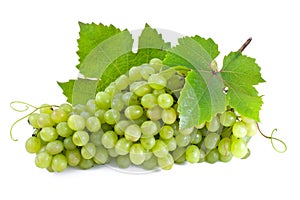 Green grapes.