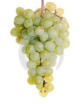 Green grapes