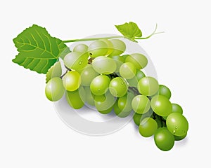 Green grapes