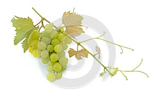 Green grapes