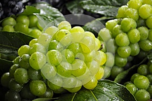 Green grapes