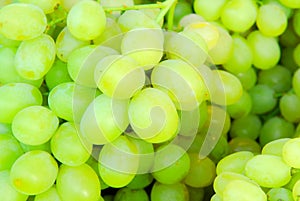 Green grapes background