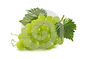 Green grapes bunch isolated on white background